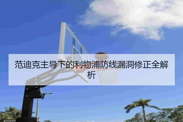 范迪克主导下的利物浦防线漏洞修正全解析